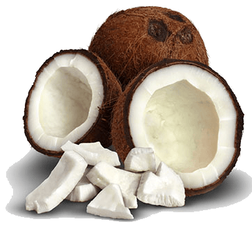 Coconut Oil Coconut Oil